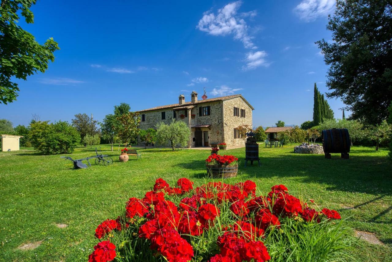 Le Terre Del Casale * Assisi