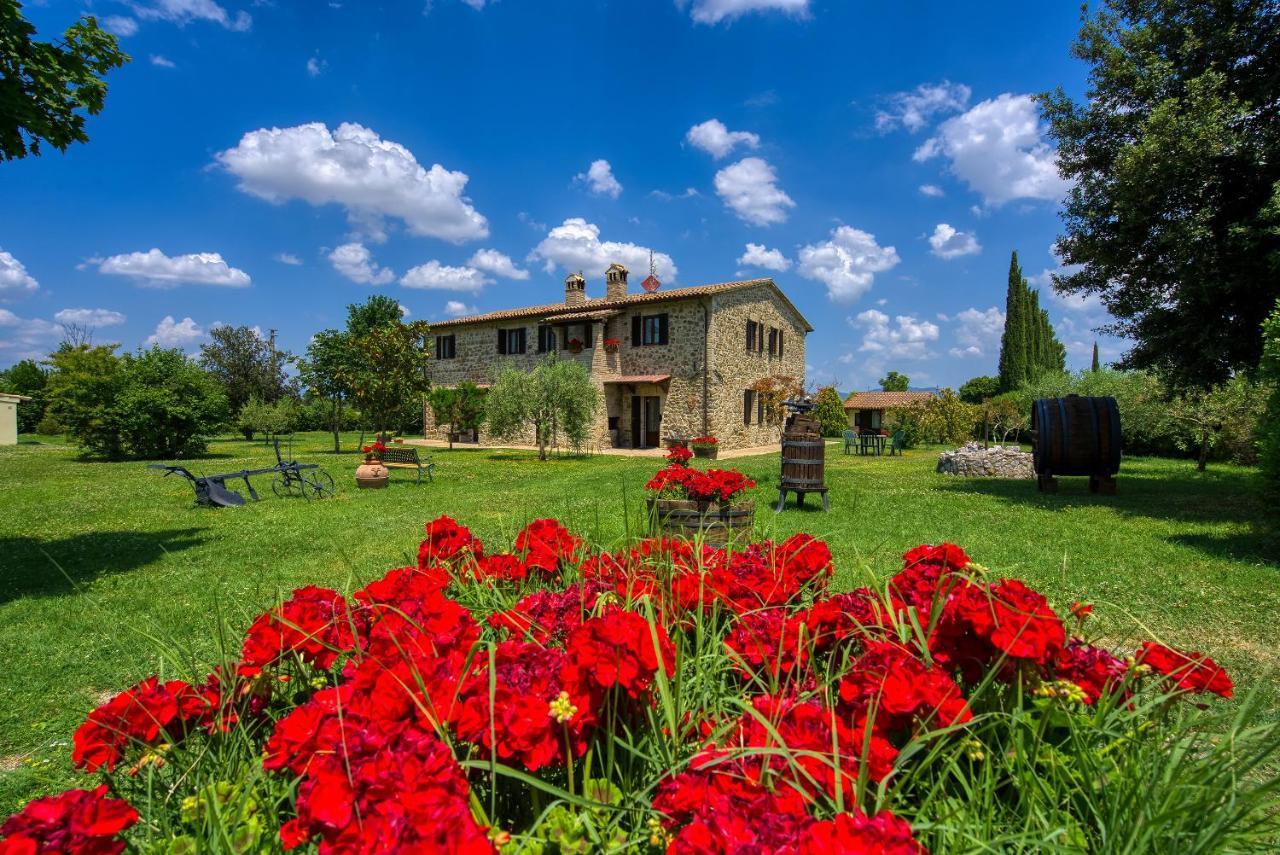 Apartment Le Terre Del Casale Assisi